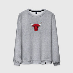 Мужской свитшот CHICAGO BULLS