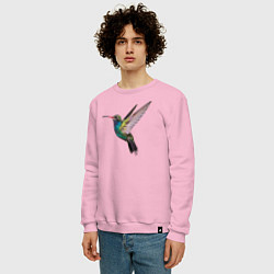 Свитшот хлопковый мужской Колибри, цвет: светло-розовый — фото 2