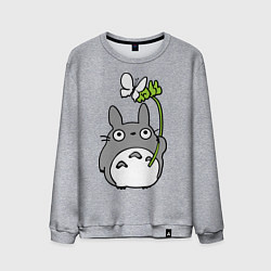 Свитшот хлопковый мужской Totoro и бабочка, цвет: меланж