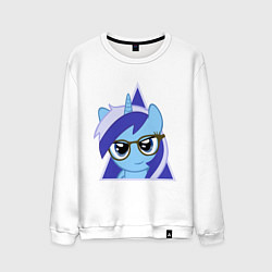 Мужской свитшот Trixie hipster