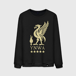 Мужской свитшот Liverpool FC