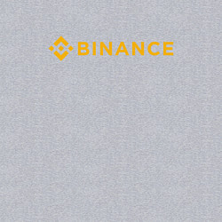 Свитшот хлопковый мужской BINANCE БИНАНС БИРЖА СПИНА, цвет: меланж — фото 2