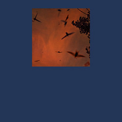 Свитшот хлопковый мужской Птицы на фоне заката, цвет: тёмно-синий — фото 2