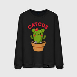 Мужской свитшот Catcus