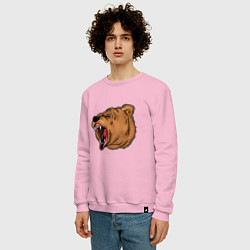 Свитшот хлопковый мужской Медведь, цвет: светло-розовый — фото 2