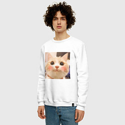 Свитшот хлопковый мужской Мем про котов, цвет: белый — фото 2