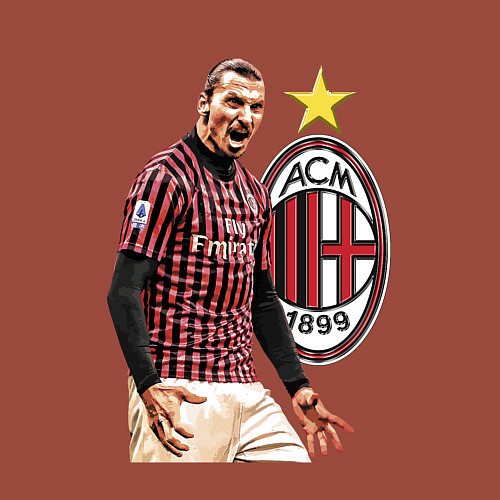 Мужской свитшот Zlatan Ibrahimovic Milan Italy / Кирпичный – фото 3