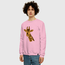 Свитшот хлопковый мужской Жираф Жора, цвет: светло-розовый — фото 2