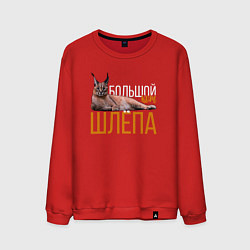Свитшот хлопковый мужской Большой кот Шлёпа, цвет: красный