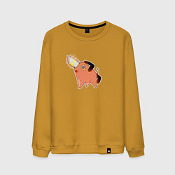 Мужской свитшот Почитта