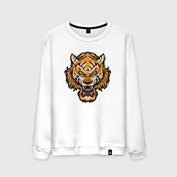 Мужской свитшот Cool Tiger