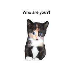 Свитшот хлопковый мужской Кот с вопросом, цвет: белый — фото 2