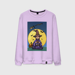 Свитшот хлопковый мужской Маленькая волщебница, цвет: лаванда
