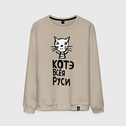 Мужской свитшот Кот в полоску 01