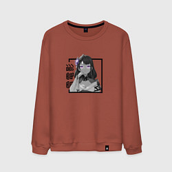 Мужской свитшот Сегун Райден Эи в квадрате