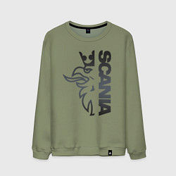 Свитшот хлопковый мужской Scania Орёл, цвет: авокадо