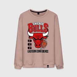 Мужской свитшот Chicago Bulls NBA