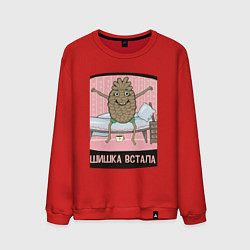 Свитшот хлопковый мужской Шишка встала, цвет: красный