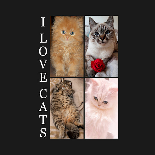 Мужской свитшот I LOVE CATS Я ЛЮБЛЮ КОШЕК / Черный – фото 3