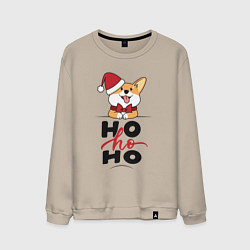 Мужской свитшот Corgi Ho ho Ho