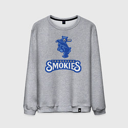 Свитшот хлопковый мужской Tennessee smokies - baseball team, цвет: меланж