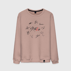 Свитшот хлопковый мужской STRAY KIDS АВТОГРАФЫ ЧЁРНЫЙ, цвет: пыльно-розовый