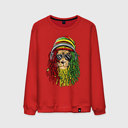 Свитшот хлопковый мужской Rasta lioN, цвет: красный