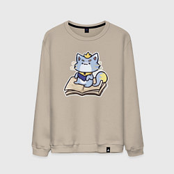 Свитшот хлопковый мужской The Magical Cat Yuumi, цвет: миндальный