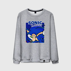 Свитшот хлопковый мужской Sonic Adventure Sonic, цвет: меланж
