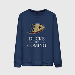 Мужской свитшот Ducks Are Coming, Анахайм Дакс, Anaheim Ducks