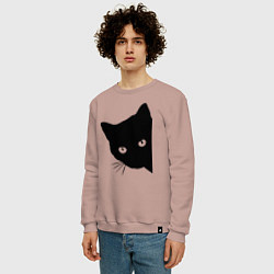 Свитшот хлопковый мужской Всё тот же чёрный котяра!, цвет: пыльно-розовый — фото 2