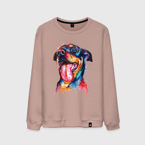 Мужской свитшот Color rottweiler / Пыльно-розовый – фото 1
