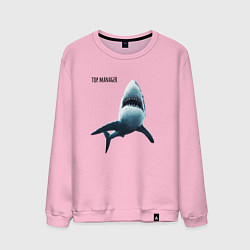 Свитшот хлопковый мужской Акула - топ менеджер, цвет: светло-розовый