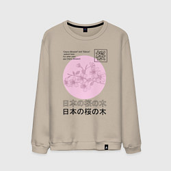Свитшот хлопковый мужской Sakura in Japanese style, цвет: миндальный
