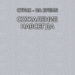 Свитшот хлопковый мужской СТРАХ - НА ВРЕМЯ, СОЖАЛЕНИЕ - НАВСЕГДА нЕ ТЕРЯЙТЕ, цвет: меланж — фото 2