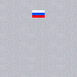 Свитшот хлопковый мужской ФЛАГ РОССИИ МИНИМАЛИЗМ, цвет: меланж — фото 2