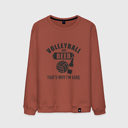 Свитшот хлопковый мужской Volleyball & Beer, цвет: кирпичный