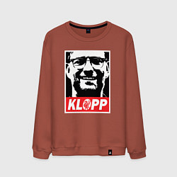 Свитшот хлопковый мужской Klopp, цвет: кирпичный