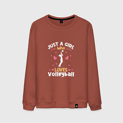 Свитшот хлопковый мужской Volleyball Loves, цвет: кирпичный