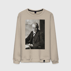 Мужской свитшот Casual freud