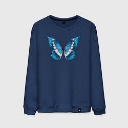 Мужской свитшот Blue butterfly синяя бабочка