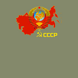 Свитшот хлопковый мужской Герб Карта СССР, цвет: авокадо — фото 2