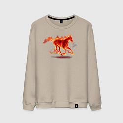Свитшот хлопковый мужской Fire horse огненная лошадь, цвет: миндальный