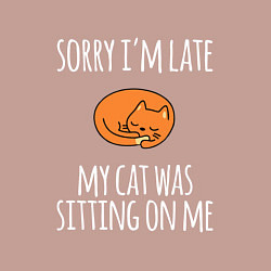 Свитшот хлопковый мужской Рыжий котик отдыхает, цвет: пыльно-розовый — фото 2