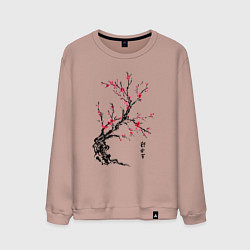 Свитшот хлопковый мужской Сакура с иероглифами, цвет: пыльно-розовый