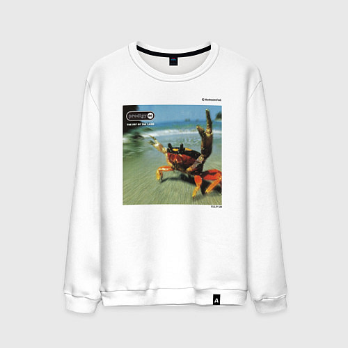 Мужской свитшот SV The Fat Of The Land W / Белый – фото 1