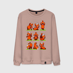 Свитшот хлопковый мужской Йога красной панды, цвет: пыльно-розовый