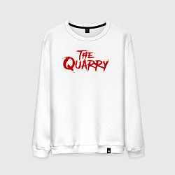 Мужской свитшот The Quarry logo