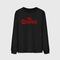 Свитшот хлопковый мужской The Quarry logo, цвет: черный