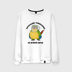 Свитшот хлопковый мужской Начальник всякой фигни, цвет: белый
